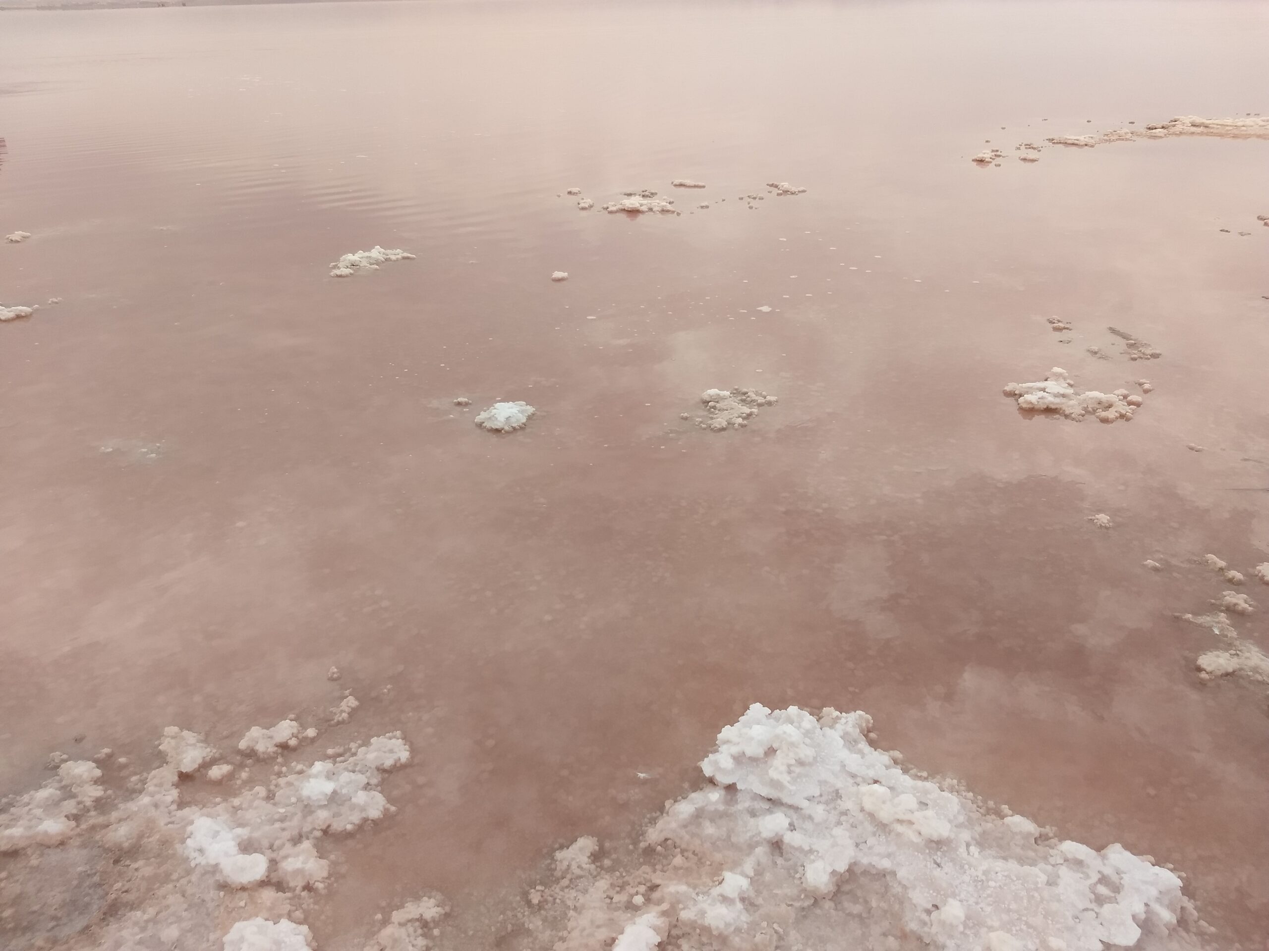 Red salt lake of Torrevieja